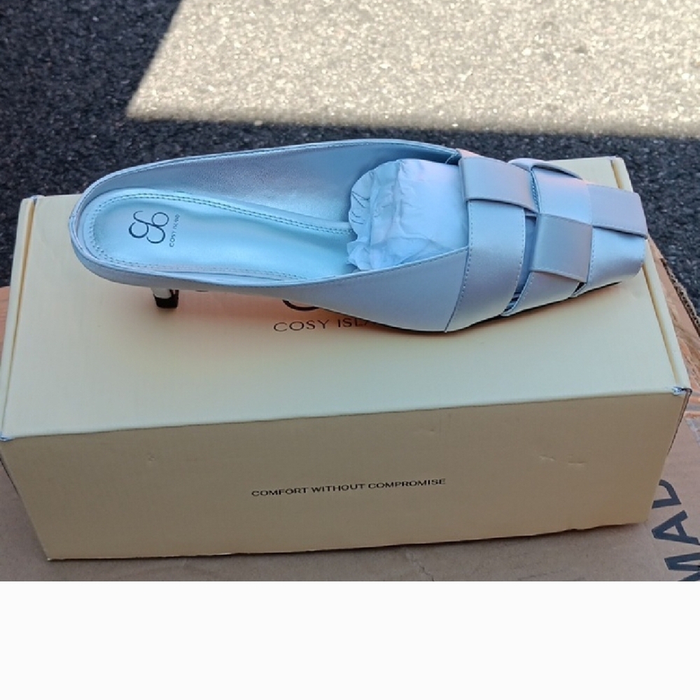 Cosy Isle Women's Elegant Blue Mules